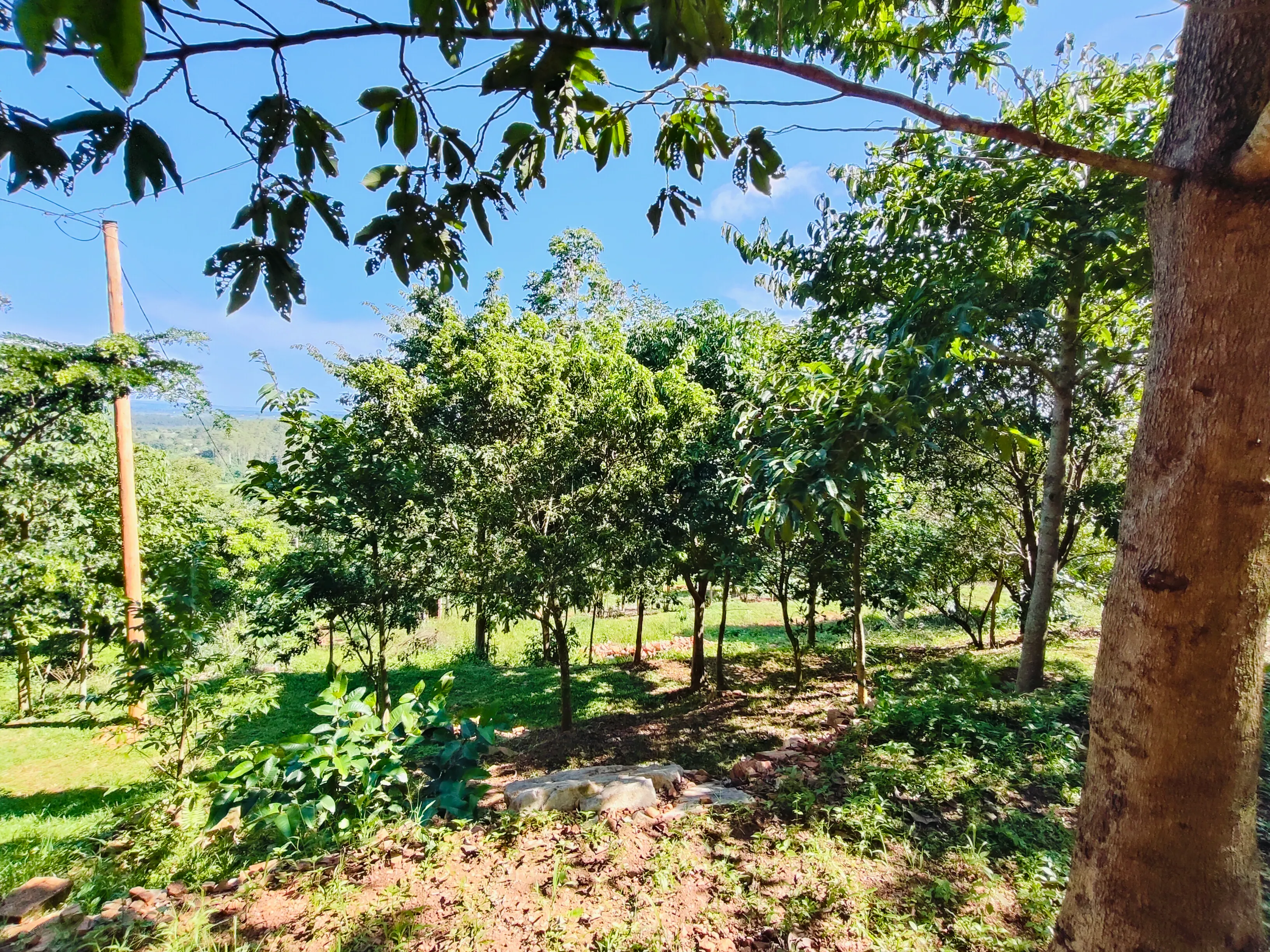 Outdoor team activity